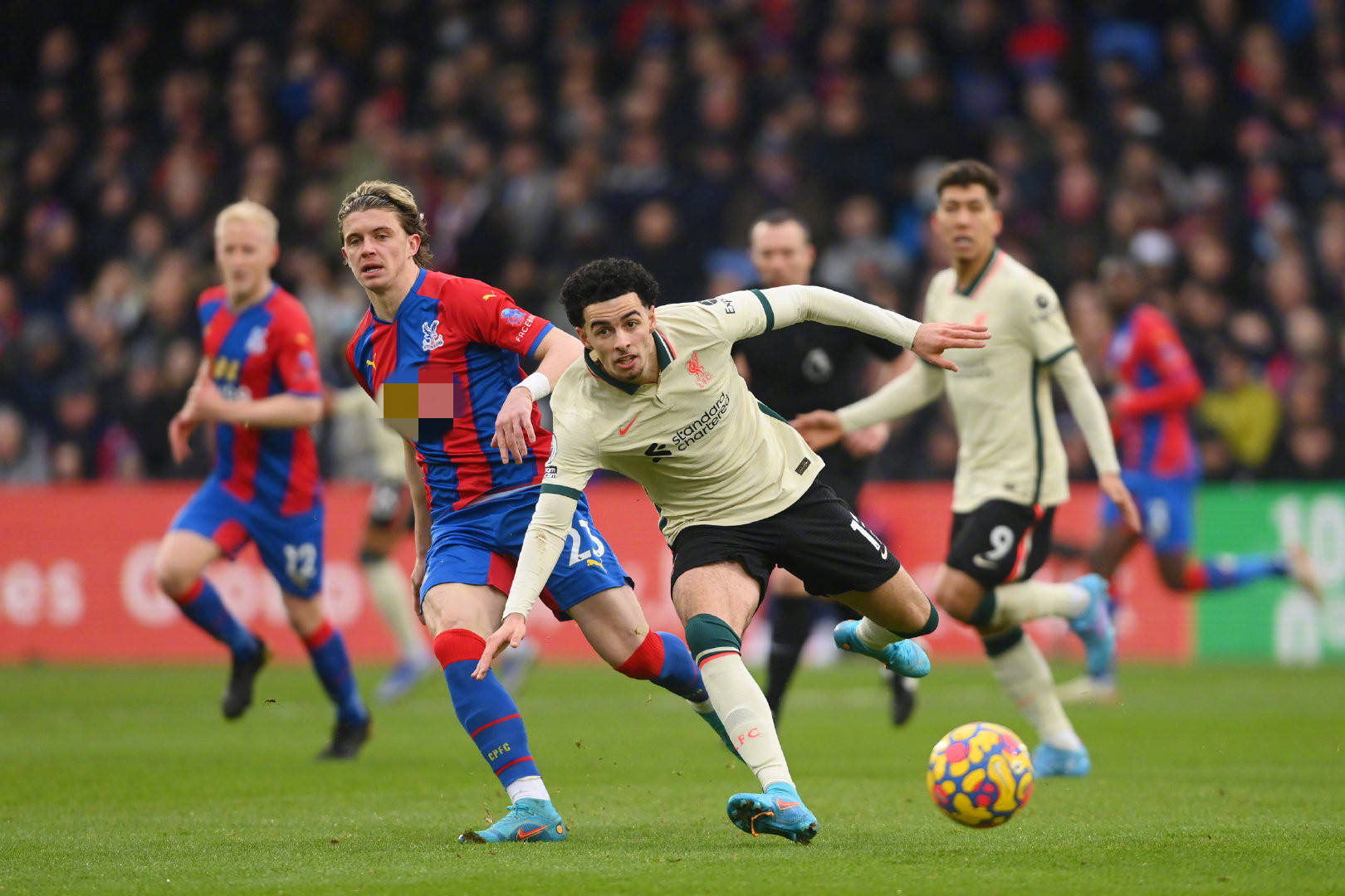 本次国际赛 本次国际赛